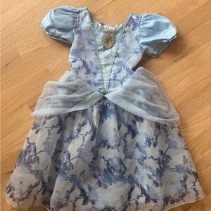Cinderella Blue Floral Dress